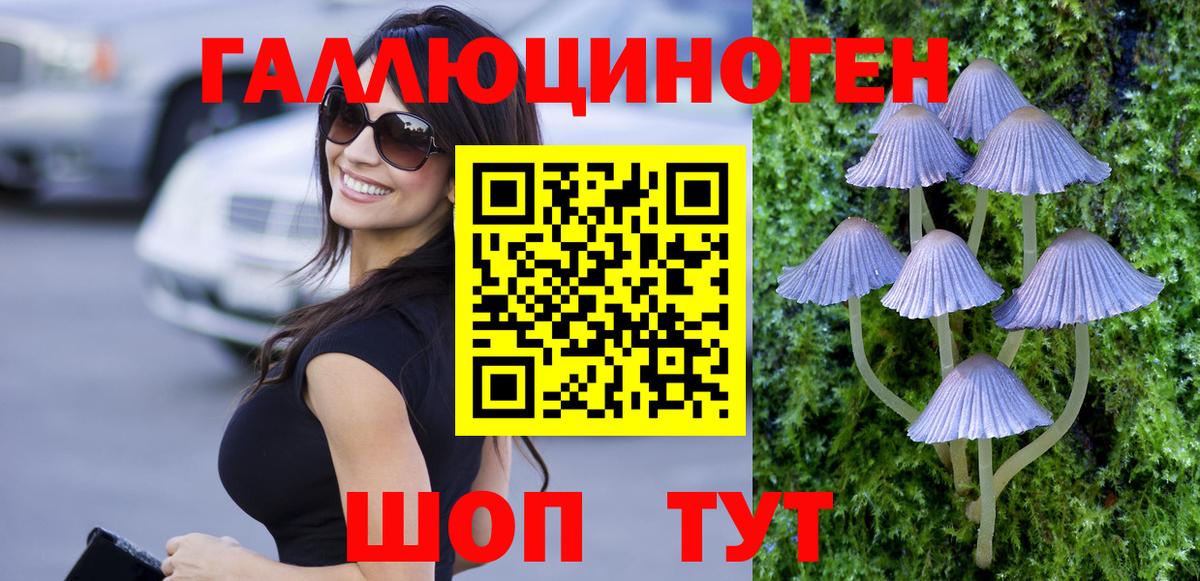 Псилоцибиновые грибы мицелий  Вход с VPN  Майкоп 