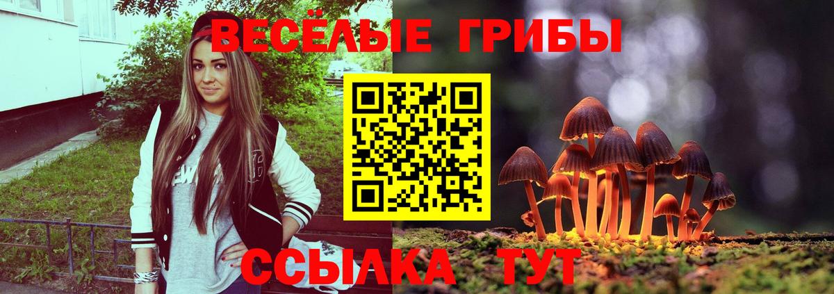 Псилоцибиновые грибы мицелий Майкоп